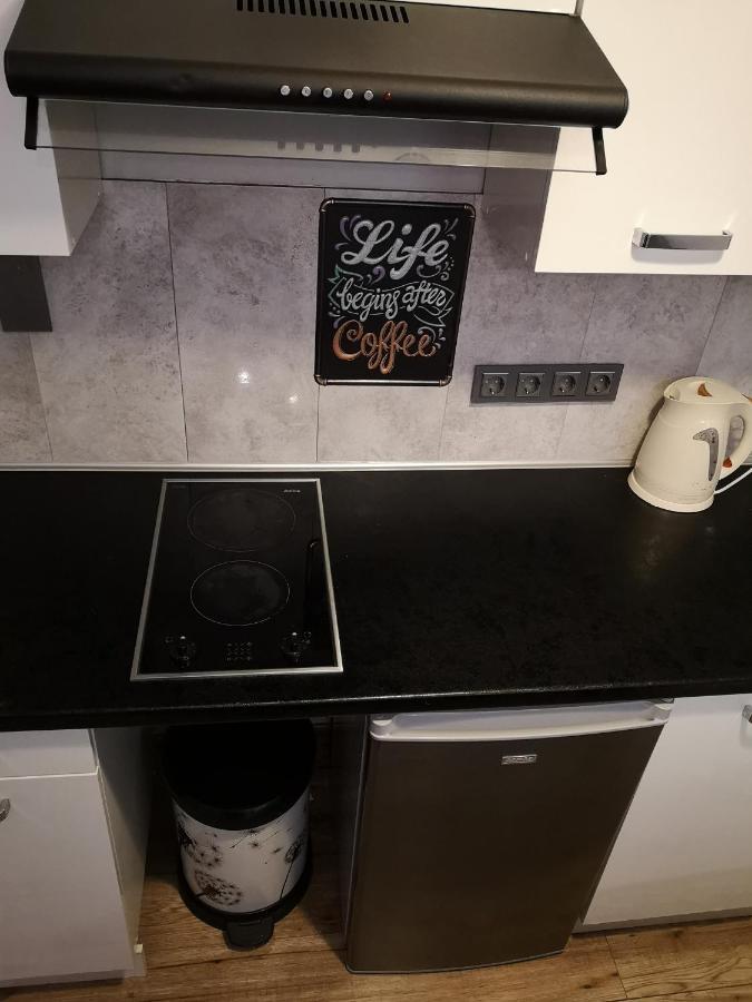 Apartament Katarzynka Stary Toruń Zewnętrze zdjęcie